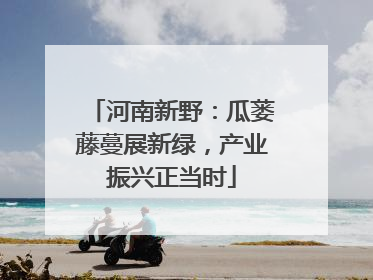 河南新野：瓜蒌藤蔓展新绿，产业振兴正当时