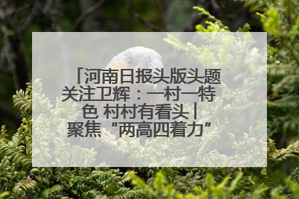 河南日报头版头题关注卫辉：一村一特色 村村有看头 ︳聚焦“两高四着力”·一“县”观察