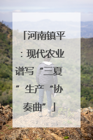 河南镇平：现代农业谱写“三夏”生产“协奏曲”