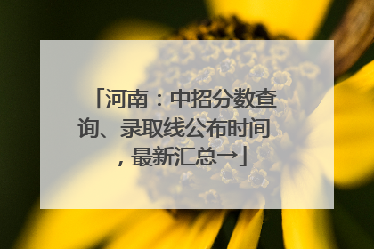 河南：中招分数查询、录取线公布时间，最新汇总→