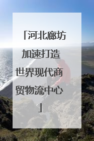 河北廊坊 加速打造世界现代商贸物流中心