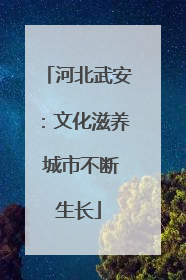 河北武安：文化滋养 城市不断生长