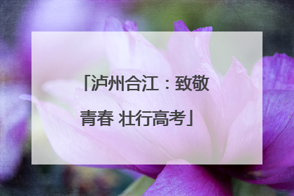泸州合江：致敬青春 壮行高考