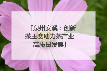 泉州安溪：创新茶王赛助力茶产业高质量发展