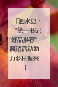泗水县：“第一书记好品推荐”展销活动助力乡村振兴