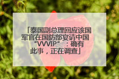 泰国副总理回应该国军官在国防部宴请中国“VVVIP”：确有此事，正在调查