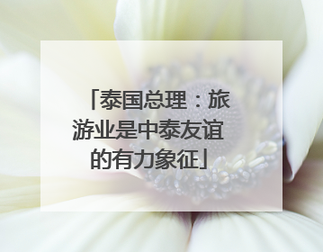 泰国总理：旅游业是中泰友谊的有力象征