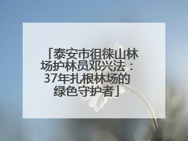 泰安市徂徕山林场护林员邓兴法：37年扎根林场的绿色守护者