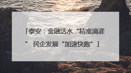 泰安：金融活水“精准滴灌” 民企发展“加速快跑”