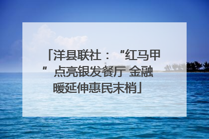 洋县联社：“红马甲”点亮银发餐厅 金融暖延伸惠民末梢