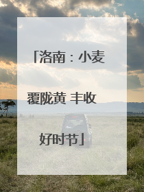 洛南：小麦覆陇黄 丰收好时节
