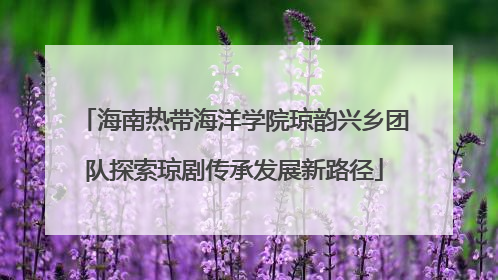 海南热带海洋学院琼韵兴乡团队探索琼剧传承发展新路径