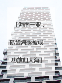 海南三亚：糙齿海豚被成功放归大海