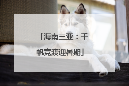 海南三亚：千帆竞渡迎暑期