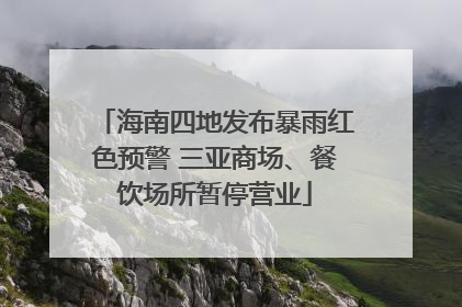 海南四地发布暴雨红色预警 三亚商场、餐饮场所暂停营业