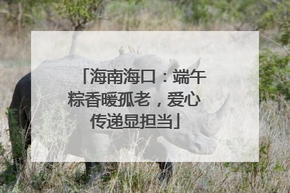 海南海口：端午粽香暖孤老，爱心传递显担当