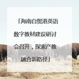 海南自贸港英语数字教材建设研讨会召开，探索产教融合新路径