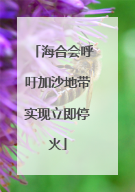 海合会呼吁加沙地带实现立即停火