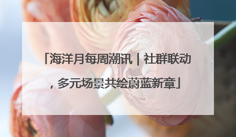 海洋月每周潮讯｜社群联动，多元场景共绘蔚蓝新章