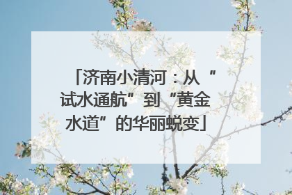 济南小清河：从“试水通航”到“黄金水道”的华丽蜕变