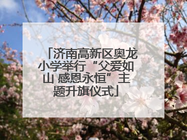 济南高新区奥龙小学举行“父爱如山 感恩永恒”主题升旗仪式