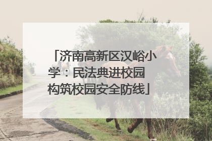 济南高新区汉峪小学：民法典进校园 构筑校园安全防线