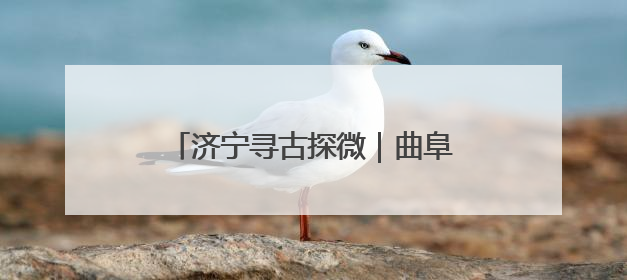 济宁寻古探微｜曲阜霸王坟，项羽魂归处