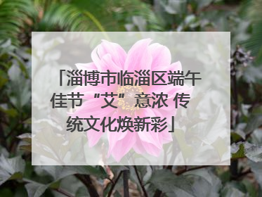 淄博市临淄区端午佳节“艾”意浓 传统文化焕新彩