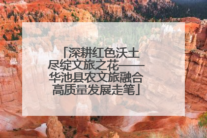 深耕红色沃土 尽绽文旅之花——华池县农文旅融合高质量发展走笔