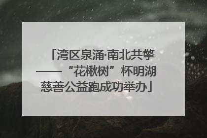 湾区泉涌·南北共擎——“花楸树”杯明湖慈善公益跑成功举办