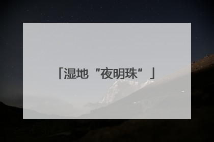 湿地“夜明珠”