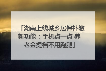 湖南上线城乡居保补缴新功能：手机点一点 养老金提档不用跑腿