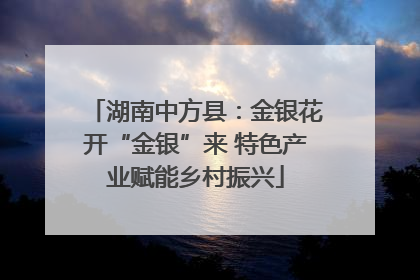 湖南中方县：金银花开“金银”来 特色产业赋能乡村振兴