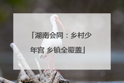 湖南会同：乡村少年宫 乡镇全覆盖
