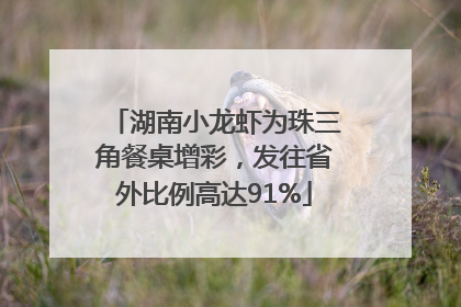 湖南小龙虾为珠三角餐桌增彩，发往省外比例高达91%