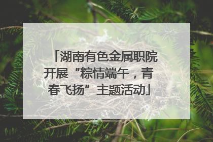 湖南有色金属职院开展“粽情端午，青春飞扬”主题活动