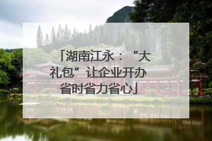 湖南江永：“大礼包”让企业开办省时省力省心