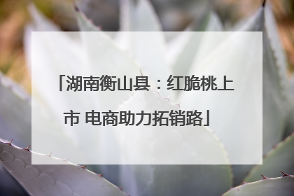 湖南衡山县：红脆桃上市 电商助力拓销路