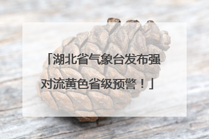 湖北省气象台发布强对流黄色省级预警！