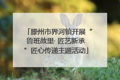 滕州市界河镇开展“鲁班故里· 匠艺新承”匠心传递主题活动