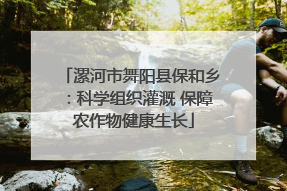 漯河市舞阳县保和乡：科学组织灌溉 保障农作物健康生长