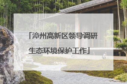 漳州高新区领导调研生态环境保护工作