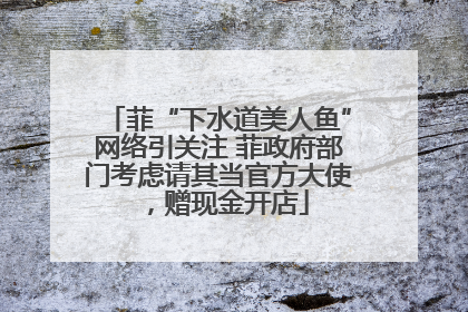 菲“下水道美人鱼”网络引关注 菲政府部门考虑请其当官方大使，赠现金开店
