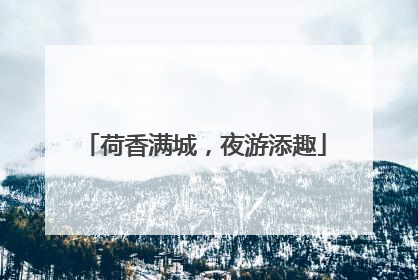 荷香满城，夜游添趣
