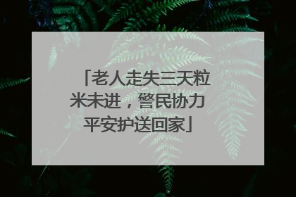 老人走失三天粒米未进，警民协力平安护送回家