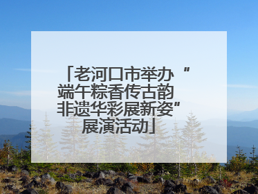 老河口市举办“端午粽香传古韵 非遗华彩展新姿”展演活动