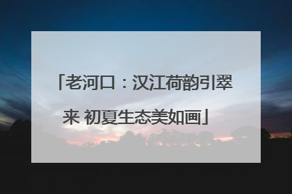 老河口：汉江荷韵引翠来 初夏生态美如画