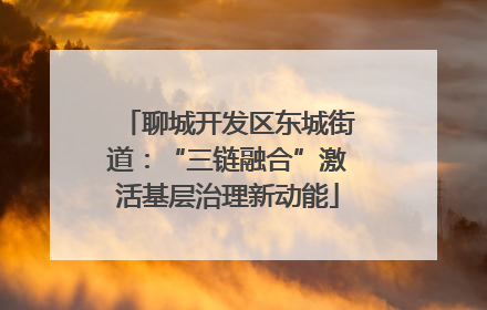 聊城开发区东城街道：“三链融合”激活基层治理新动能