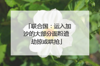 联合国：运入加沙的大部分面粉遭劫掠或哄抢