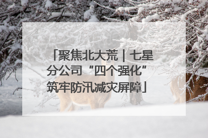 聚焦北大荒｜七星分公司“四个强化”筑牢防汛减灾屏障